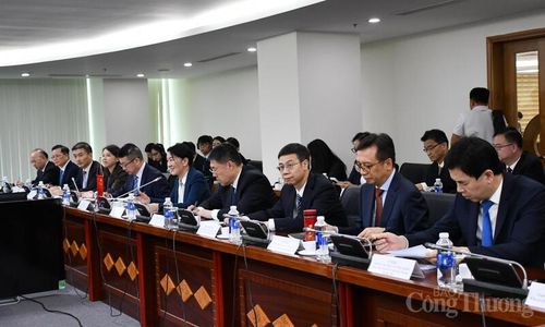Đại biểu hai nước tham dự hội nghị. Ảnh: Thanh Minh.
