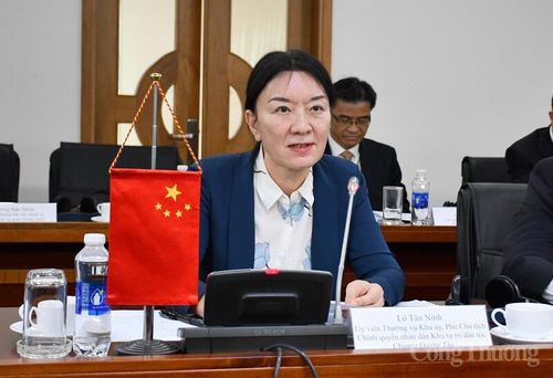 Bà Lô Tân Ninh - Phó Chủ tịch Chính quyền nhân dân Khu tự trị dân tộc Choang Quảng Tây (Trung Quốc). Ảnh: Thanh Minh.