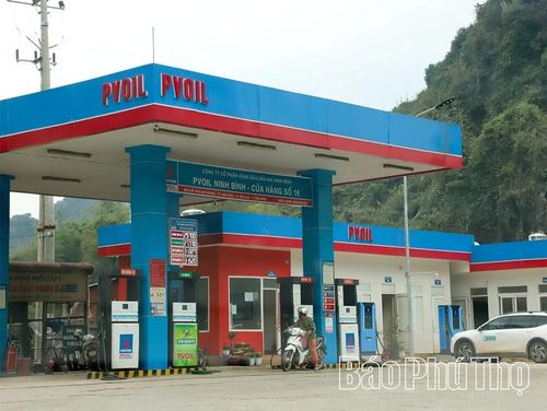 Công ty CP Xăng dầu Dầu khí Ninh Bình (PVOIL Ninh Bình) triển khai bán xăng E10 tại cửa hàng xăng dầu ở khu An Khang, xã Tân Lạc từ tháng 3/2026.