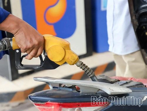 Các doanh nghiệp phân phối xăng dầu khu vực Hòa Bình đã hoàn thiện các điều kiện chuyển đổi sang bán xăng E10.
