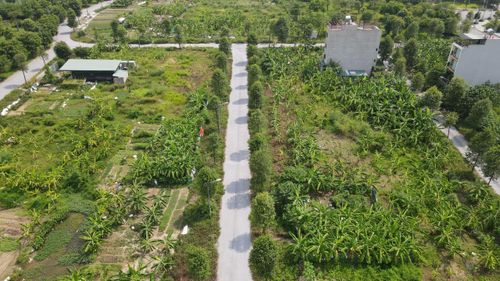 UBND cấp tỉnh phải đăng công khai thông tin vi phạm, khắc phục vi phạm pháp luật đất đai trên Cổng thông tin điện tử của Bộ Nông nghiệp và Môi trường.