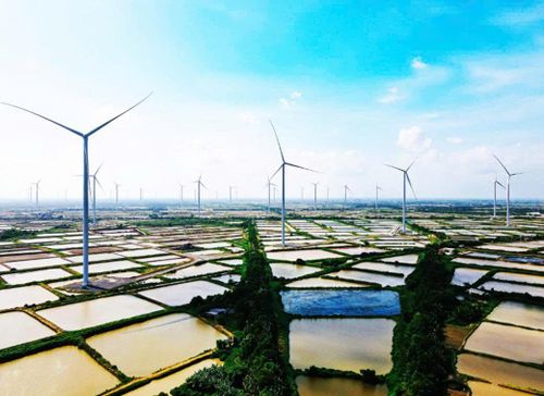 Dự án Điện gió Lạc Hòa 2 tại Cần Thơ, công suất 130 MW do IPC E&C thực hiện.