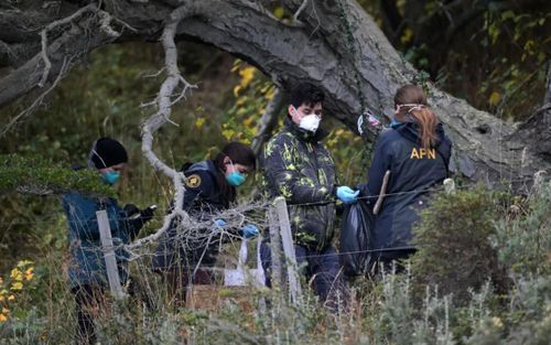 Đầu tháng này, các nhà khoa học đã bắt những con chuột ở Ushuaia, Argentina, để xác định xem virus hantavirus đã lây lan đến khu vực này hay chưa. Ảnh: AFP / Getty Images