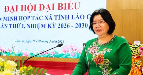 Bà Cao Xuân Thu Vân, Chủ tịch Liên minh Hợp tác Việt Nam phát biểu tại Đại hội