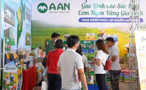 Ảnh minh họa: AAN.