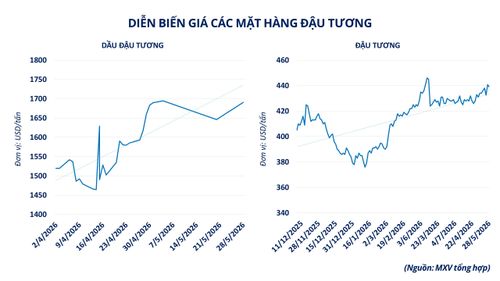 Diễn biến giá các mặt hàng đậu tương. Nguồn: MXV
