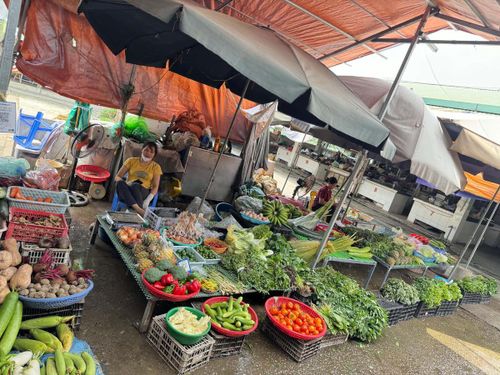 Dù giá rau xanh tăng nhưng lượng tiêu thụ vẫn tăng mạnh. Ảnh: TB