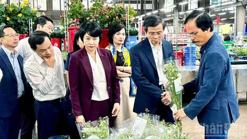 Đồng chí Đoàn Minh Huấn và Đoàn công tác thăm Công ty Trách nhiệm hữu hạn Dalat Hasfarm.