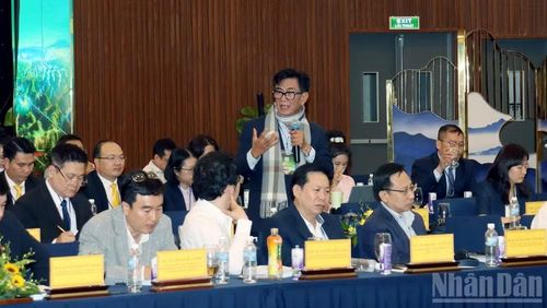 Các chuyên gia trong nước và quốc tế phát biểu ý kiến tại hội thảo.