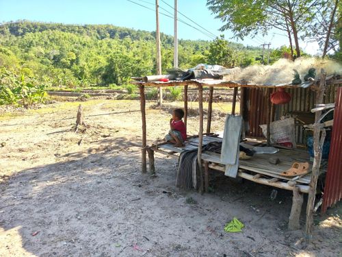  Nghỉ ngơi tại chòi rẫy. Ảnh: HỮU PHÚC 