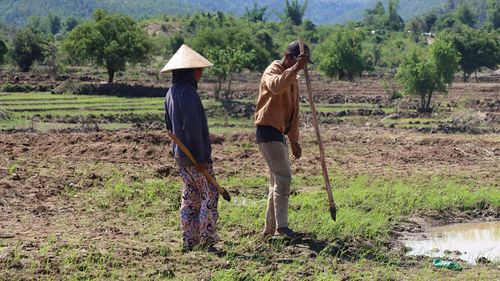  Một người chọc lỗ, người còn lại đi phía sau, đổ hạt giống vào lỗ. Ảnh: HỮU PHÚC 