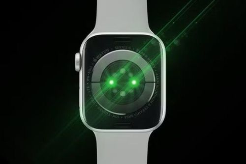 Smartwatch ngày nay không chỉ là thiết bị xem giờ mà còn đóng vai trò như một trợ lý sức khỏe cá nhân với khả năng theo dõi nhịp tim liên tục nhờ cảm biến ánh sáng xanh lá cây ở mặt dưới thiết bị.
