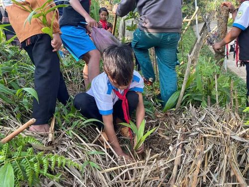 Học sinh Trường Phổ thông dân tộc bán trú Tiểu học &amp; THCS Trà Nam được nhà trường hướng dẫn cách trồng, chăm sóc cây tại vườn trường.