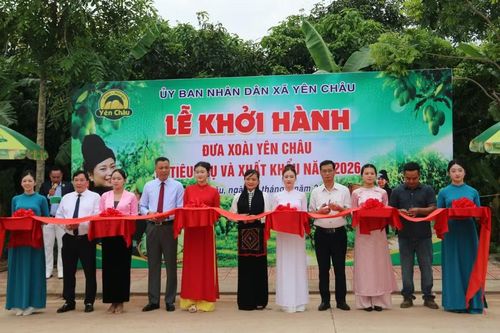 Các đại biểu cắt băng khởi hành xuất khẩu xoài.