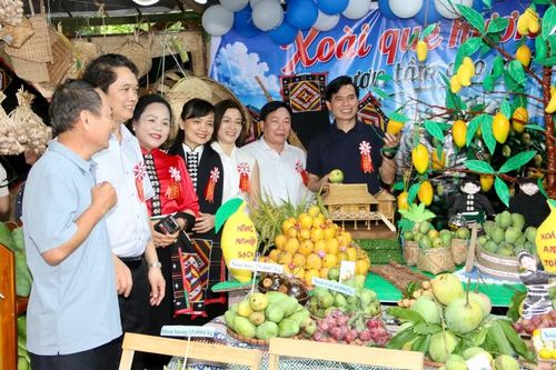 Các đại biểu tham quan gian hàng trưng bày xoài.