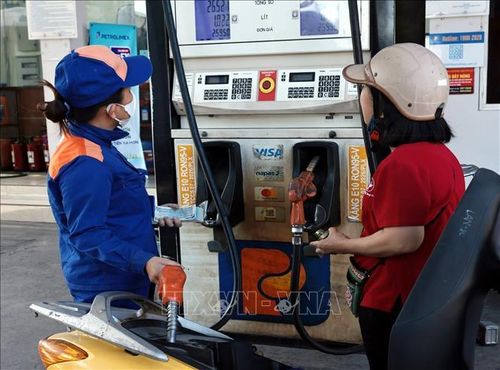 Mua bán xăng sinh học tại một cửa hàng của Petrolimex sáng 24/5. Ảnh: Trần Việt/TTXVN