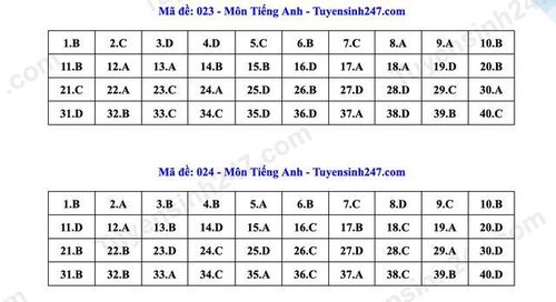 Đáp án tham khảo một số mã đề môn Tiếng Anh dành cho thí sinh.
