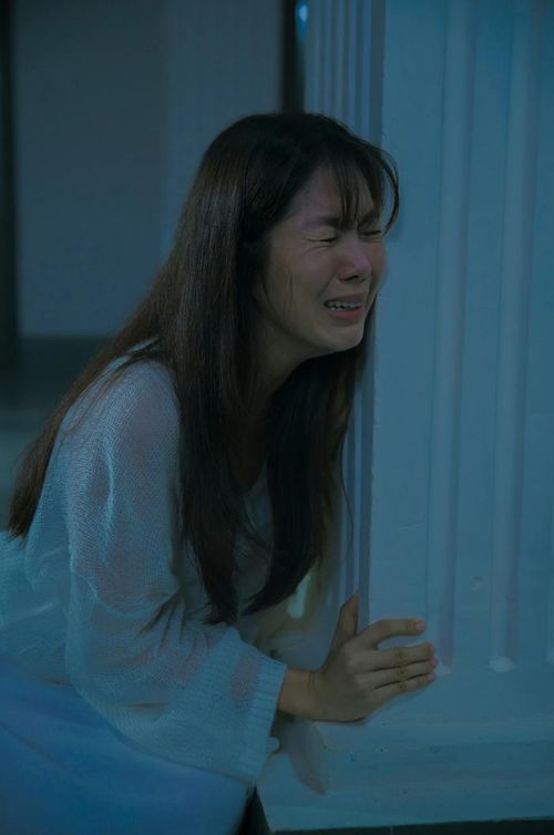 Lê Phương từng góp mặt trong các dự án điện ảnh, thế nhưng kết quả lại không thành công như kỳ vọng.