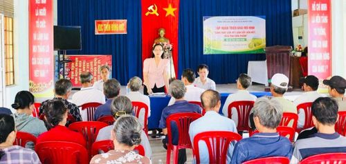 Xã Điện Bàn Tây tập huấn mô hình “Sản xuất lúa HT1 gắn với liên kết, tiêu thụ sản phẩm”. Ảnh: HẢI HƯNG