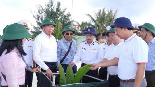 Phó Chủ tịch UBND tỉnh Lâm Hải Giang (thứ 3 từ trái sang) đánh giá cao sự sáng tạo trong trồng chăm sóc cây xanh của cán bộ, chiến sĩ đảo Tiên Nữ. Ảnh: Mỹ Hà