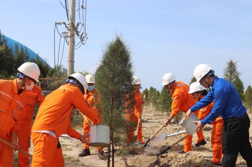 Người lao động NMNĐ Vĩnh Tân 4 tham gia trồng cây dương ven biển