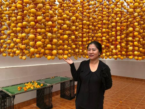 Tham quan, trải nghiệm, thưởng thức đặc sản hồng treo gió là một trong những dịch vụ thu hút du khách tại Xuân Trường - Đà Lạt