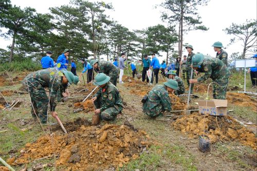Lâm Đồng đang tích cực triển khai phong trào "Vì một Lâm Đồng xanh" và cụ thể hóa Đề án Trồng một tỷ cây xanh giai đoạn 2021 - 2025 của Thủ tướng Chính phủ. Ảnh: Hương Ly