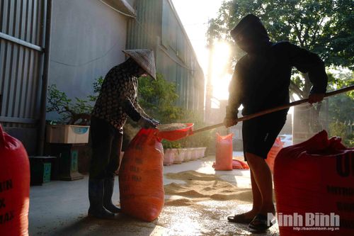 Sau những ngày thu hoạch khẩn trương ngoài đồng, người dân lại miệt mài với công việc, phơi khô, sàng sảy để khép lại một mùa vụ nhiều niềm vui.