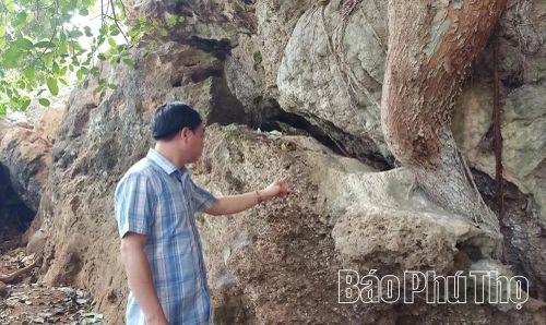 Trải qua hàng nghìn năm, vỏ ốc núi lưu giữ trên vách đá là minh chứng cho di tích khảo cổ
