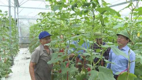 Sau sáp nhập, Đảng bộ xã Quảng Ninh đạt nhiều kết quả nổi bật về kinh tế - xã hội - Ảnh: Đ.N