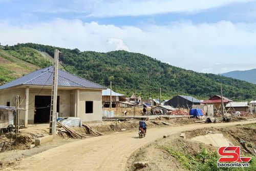 Nhiều hộ dân bản Sòng Hạ, xã Chiềng Sơ, đang thi công xây dựng nhà ở.