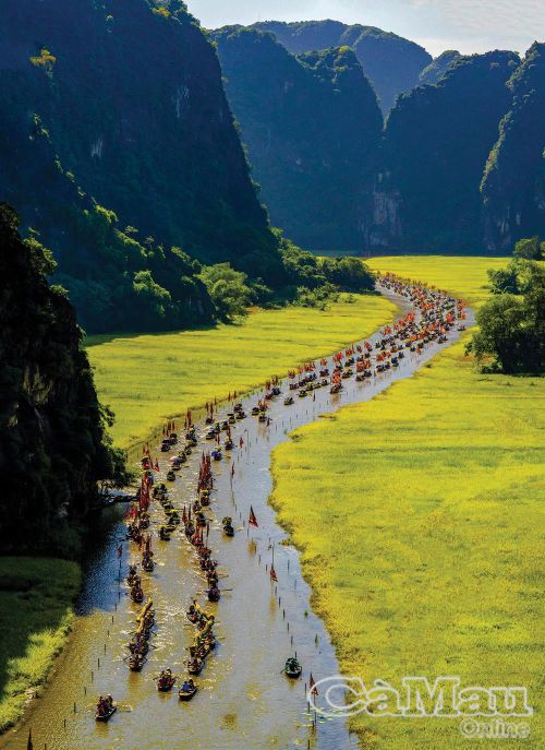 Lễ hội Sắc vàng Tam Cốc - Tràng An 2026 là một trong những hoạt động điểm nhấn thuộc Tuần Du lịch Ninh Bình 2026.