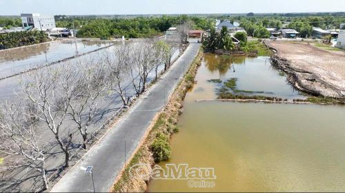 Người dân chủ động bao ví bùn đất khi vào mùa cải tạo.