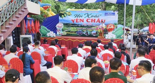 Khai mạc Ngày hội xoài Yên Châu năm 2026. (Ảnh: Báo Sơn La).