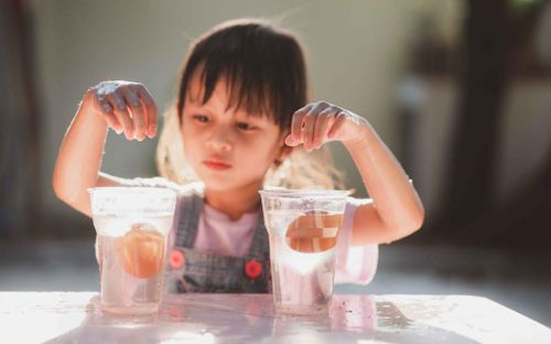 Các em bé đam mê khoa học sẽ đặc biệt thích đồ chơi Stem. (Ảnh minh họa: Crown Kiddo)