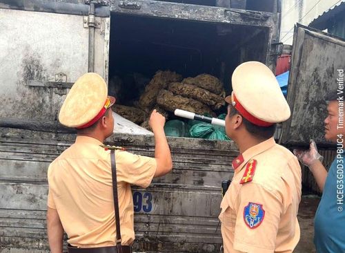 Hơn 2 tấn tóp mỡ bốc mùi được thu mua từ Thanh Hóa đang trên đường mang ra Hà Nội để tiêu thụ. Ảnh: Cơ quan Công an.
