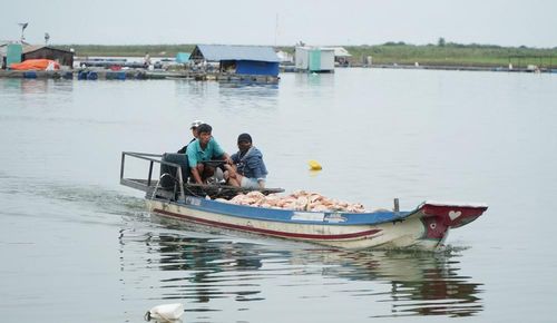 Cá chết vớt từ các lồng nuôi giữa hồ Trị An được chở bằng ghe vào bờ và đem tiêu hủy. Ảnh: Lê Xuân-TTXVN