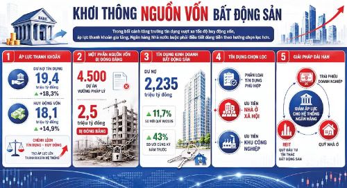 Đồ họa: HỒNG ANH