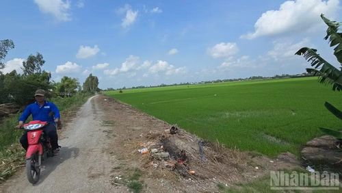 Những con đường nông thôn liên ấp được Ủy ban nhân dân xã Châu Phú lên kế hoạch nhựa hóa.