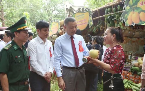 Hiện tại, xã Yên Châu có 50ha trồng xoài phục vụ xuất khẩu.