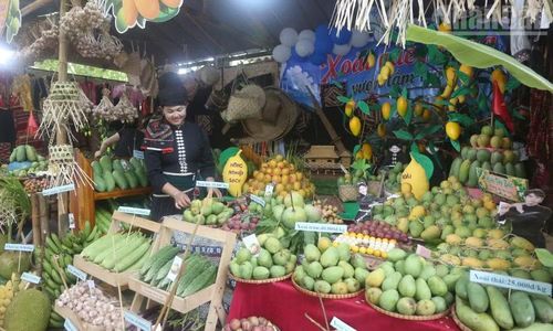 Nhiều gian hàng trưng bày xoài và các nông sản tại ngày hội xoài Yên Châu.