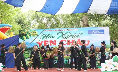 Một tiết mục văn nghệ tái hiện lại hoạt động hái xoài của đồng bào dân tộc Thái các bản của xã Yên Châu.