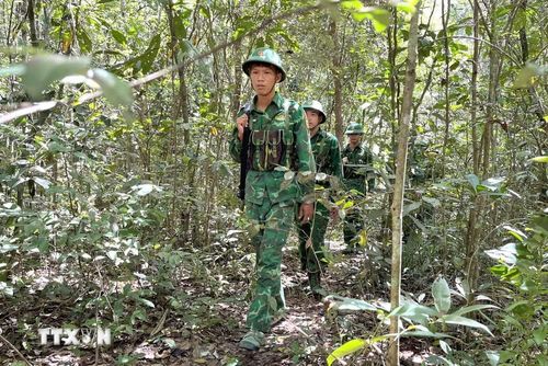 Bộ đội biên phòng Tây Ninh tuần tra, kiểm soát bảo vệ hệ thống đường biên, cột mốc, bảo vệ rừng nơi biên giới. (Ảnh: Đức Hạnh/TTXVN)