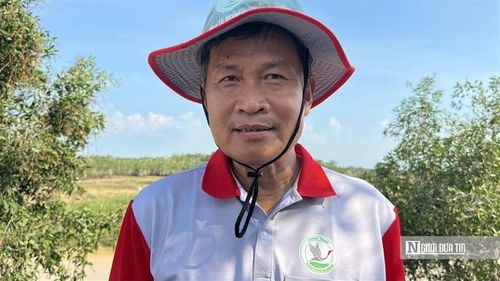 Tiến sĩ Trần Triết chia sẻ với phóng viên về câu chuyện bảo tồn hệ sinh thái Tràm Chim. (Ảnh: Bùi Đạt).
