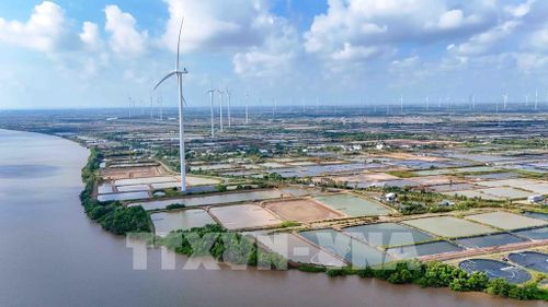 Vùng nuôi tôm siêu thâm canh rộng 280 ha của Công ty cổ phần Thủy sản sạch Việt Nam nằm ven sông Mỹ Thanh, thuộc địa bàn xã Trần Đề, thành phố Cần Thơ. Ảnh: Thanh Liêm - TTXVN