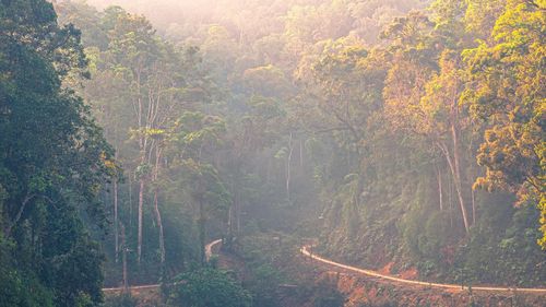 Sớm mai bảng lảng sương trên tuyến đường vào các bản làng vùng cao Hùng Sơn.