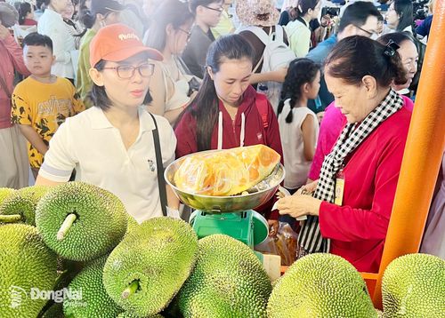 Du khách chọn mua các loại mít đặc sản tại Lễ hội trái cây Nam Bộ năm 2026. Ảnh: Hải Quân