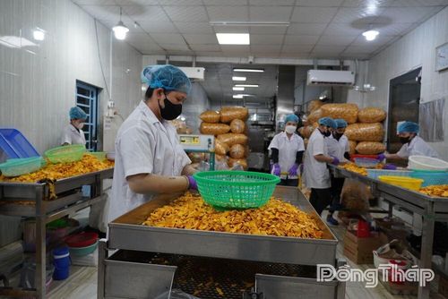 Chế biến sâu giúp nâng cao giá trị, đẩy mạnh tiêu thụ trái cây.