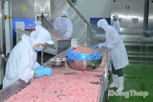Quy trình chế biến trái cây tại Công ty cổ phần Công nghiệp Thực phẩm THABICO Tiền Giang.