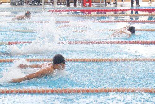 Các vận động viên tranh tài tại Giải Bơi - Lặn vô địch các nhóm tuổi quốc gia năm 2026.